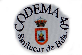 Codema 40