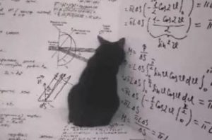 Volviendo a la isla. Trascendencia Gato de Schordinger