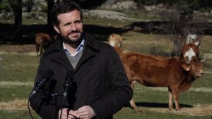 Casado ganadería extensiva