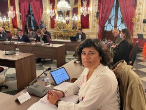 Carmen Álvarez, en el Pleno de de Diputación ARCHIVO