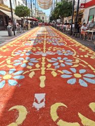 70.000 kilos de sal formarán parte de la tradicional alfombra con motivo de las fiestas patronales Alfombra calle Ancha 2023