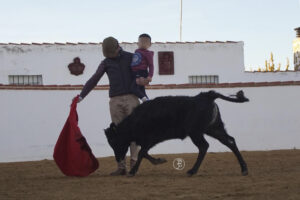 Rechazan un tentadero taurino en Sanlúcar y piden evitar presencia infantil Foto de El día de Valladolid